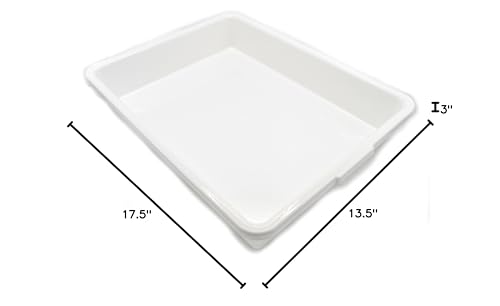 EISCO Laboratory Tray - 17.5 x 13.5 x 3 Inches - Polypropylene Plastic