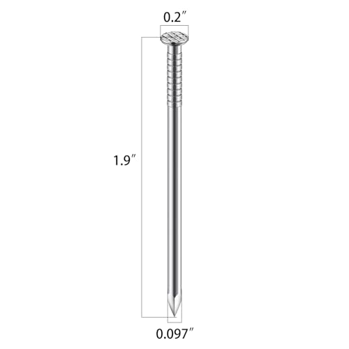 Wensilon (100 pcs)2 inch Stainless Steel 304 Nails, Hanging Nails, Wall Nails, Dowels, Long Nails - color: Ss, size: 2