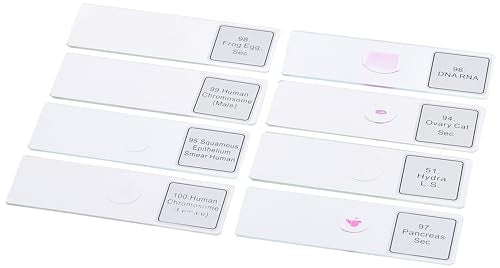 Celestron Prepared Microscope Slides, 100-Piece Specimen Collection - size: Prepared Slides - 100 piece box