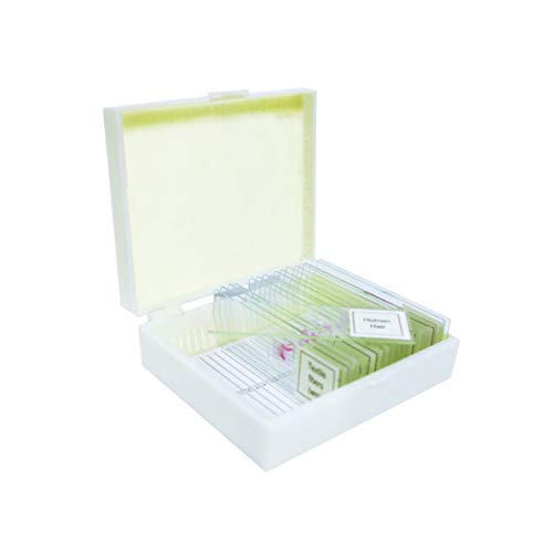 VSH130 Prepared Slide Set – Meiosis & Mitosis (Set of 9) Package | Slides are Clearly Labeled | Specimens are Cover Slip Sealed | Ideal Set for High School Observation