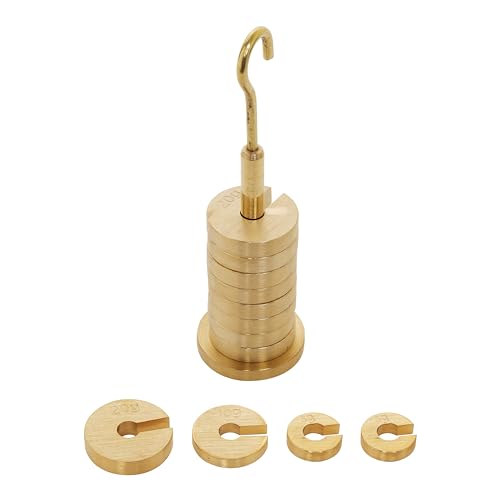 Eisco Labs Brass Slotted Set of Masses and Hanger (50g Hanger, Two 5g Discs, one 10g disc, and Nine 20g Discs - Overall Mass 250g)