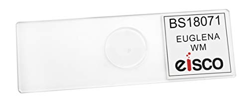 EISCO (Pack of 10) Euglena Virdis, Wholemount - Prepared Microscope Slides - Classroom Pack, 10 Slides in Storage Case - Biology & Microscopy - size: Pack of 10