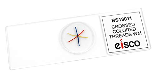 EISCO Crossed, Colored Threads - Prepared Microscope Slide - Wholemount - 75 x 25mm - Introductory Microscopy - size: Single Slide