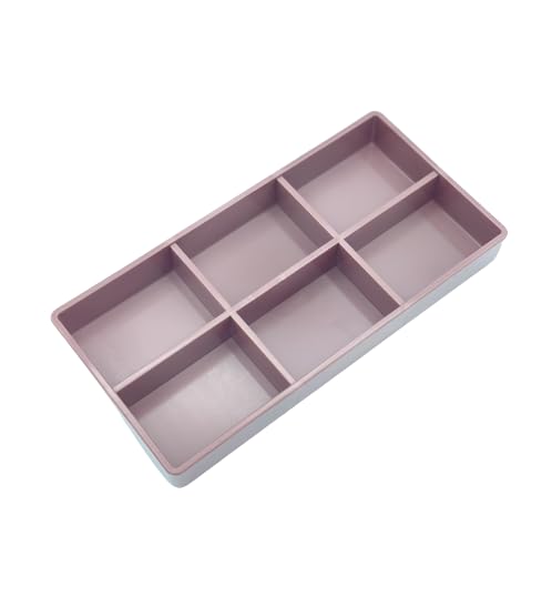 AmeiCan Goods 2/Pcs Dental Autoclavable Cabiet Tay #20 Plastic 6 Compartment Organizer Tray to Organize disc, Wheels, Stones and ect. 8"L x 4"W x 1"H (Mauve) - color: Mauve