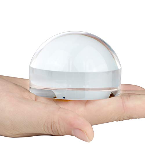 Dandelion 6X Dome/Paperweight Magnifier w/Pouch Table Magnifying - size: 2.5 inch