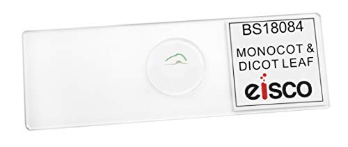 10PK Monocot & Dicot Leaf Composite, Cross Section - Prepared Microscope Slides - Classroom Pack, 10 Slides in Storage Case - Biology & Microscopy - Eisco Labs - size: Pack of 10
