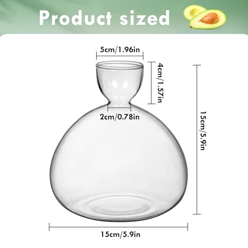 Large Avocado Grow Vase Glass Acorn Seed Starter Vase Planter for Growing - size: 1PCS Plain 5.9*5.9*1.96inch