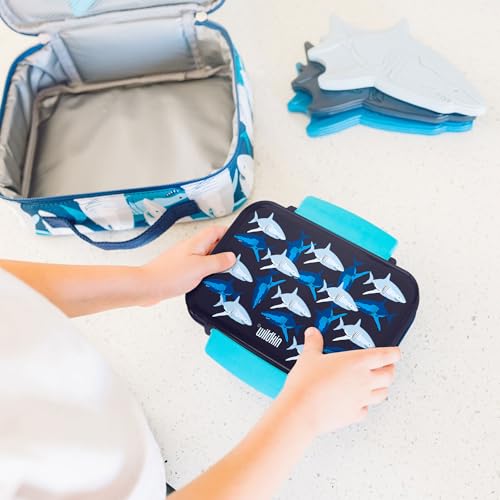 Wildkin Reusable Food Container for Kids – Sharks - color: Sharks
