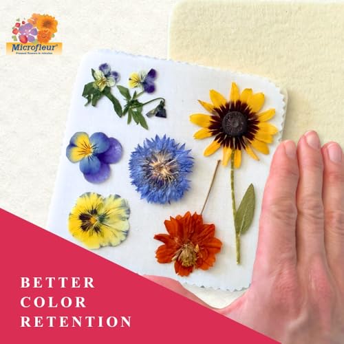 Microfleur Microwave Flower Press Refill Pack, DIY Floral Art - 5" (13 cm) - style: Refill Only