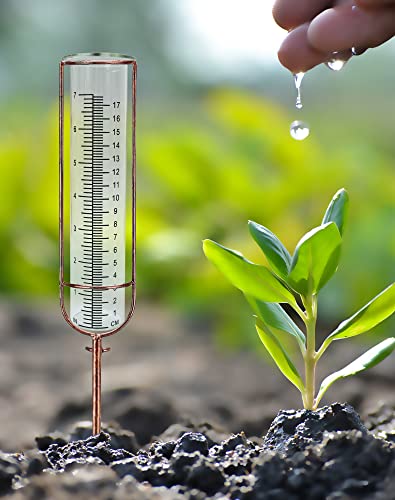 7" Plastic Rain Gauge Replacement Tube, 8.25 x 2.25 x 1.75 inches Cold Resistance Crack Resistance for Outdoor Yard Garden Home - color: 1PCS