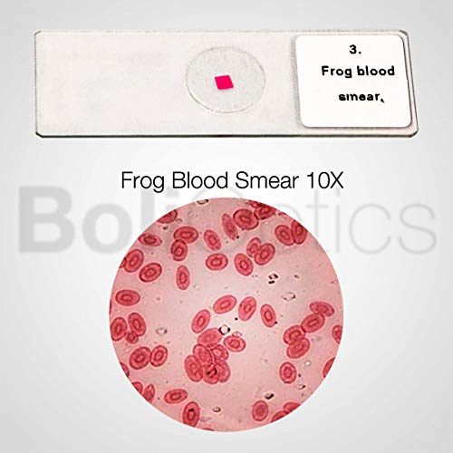 BoliOptics 5 Prepared Microscope Slides Basic Biology Specimen Set Plant and Animal Cells for Students Hobbyists Beginners Kids Homeschool, SL39901002