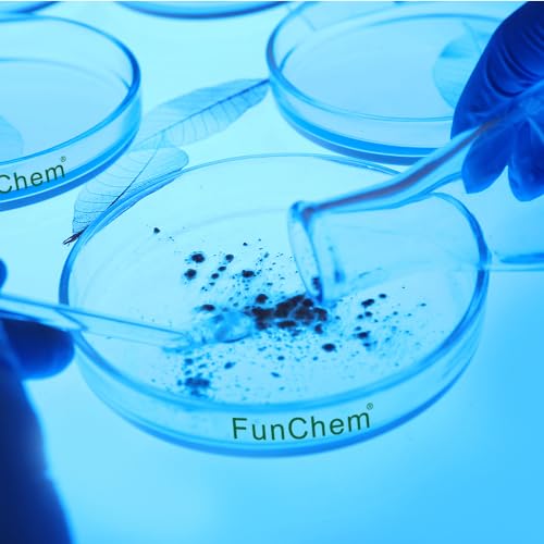FunChem Glass Petri Dishes, Autoclavable Glass Cell Culture Dishes Lab Dishes with Clear Lid, 60x15 mm, Pack of 10 - size: 60 x 15 mm