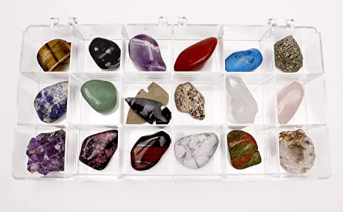 DANCING BEAR 18 Pc Rock and Mineral Educational Collection & Deluxe Collection Box with Description Sheet and Educational Information. Limited Edition, Geology Gem Kit for Kids with Display Case