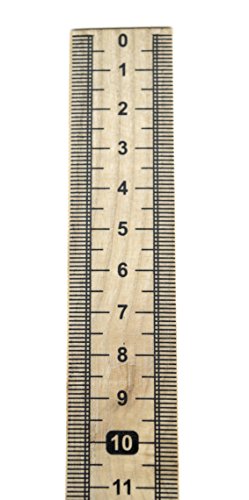 EISCO Meter Stick (Pack of 10) Single Sided Hardwood Metric Meter Stick with Vertical Reading and Zero Top