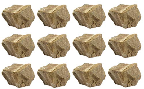 EISCO Raw White Sandstone, Sedimentary Rock Specimen - Approx. 1" - Geologist Selected & Hand Processed - Great for Science Classrooms (12)