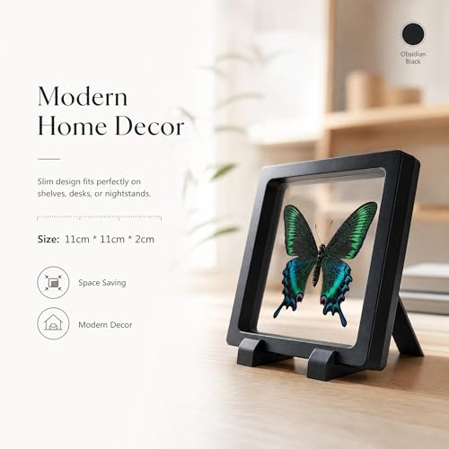 1pc 3D Floating Display Case with Real Butterfly Specimen Transparent PE Film Holder for Home Office Aesthetic Room Decoration (Papilio maackii Butterfly) - color: Papilio Maackii Butterfly