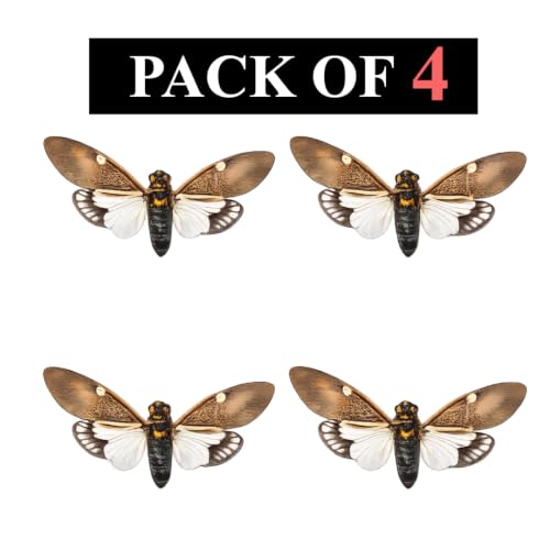 4 Real Cicada Specimens Mounted Insect Taxidermy Entomology Art VE77X4 - color: 4 Real Cicada #77