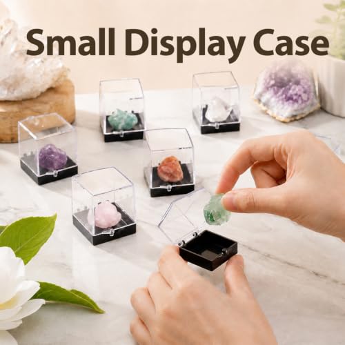 Mineral Sample Storage Boxes 12 Pcs Clear Plastic Square 1.37 Inch