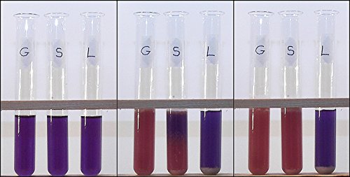 ALDON Innovating Science Cellular Respiration Kit - Excellent for Lab Experiments - The Curated Chemical Collection
