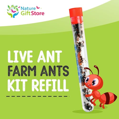25 Live Ants for Ant Farms (1 Tube), Book, Honey Treat, Premium Ant Food - style: 25 Live Ants +Honey+Food+Book