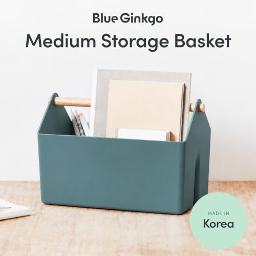 BLUE GINKGO Storage Basket, Medium 4.5L, Green, Made in Korea - color: GREEN, size: Medium