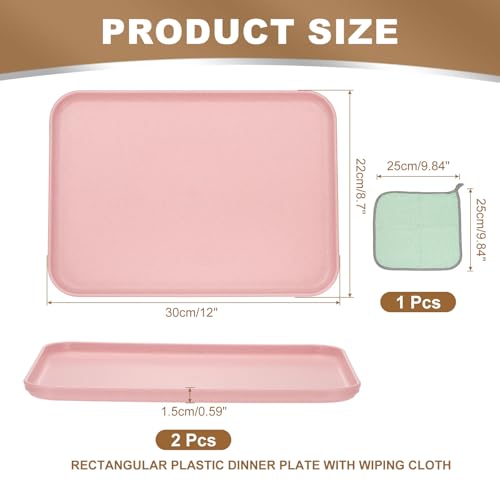 PATIKIL 12x8.7 Plastic Tray, 2 Pack Rectangular Plates Small Food Tray Wheat Plates Dishes Reusable Dessert Plate Trays with Cloth for Cake Fruits Salad Cupcake Steak Serving Pink - color: Pink, size: M(12"x8.7")