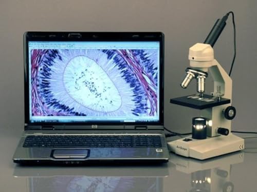 AmScope M200-LED Cordless Monocular Compound Microscope, WF10x Eyepiece