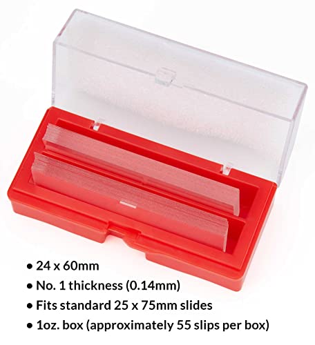 GLOBE SCIENTIFIC 1419-10 Cover Glass, 24 mm x 60 mm, #1