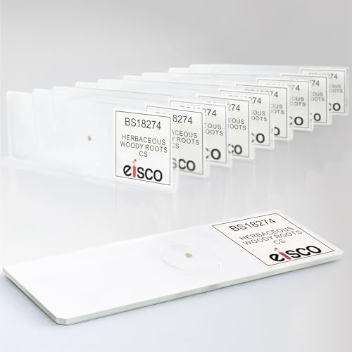 Eisco - 10 Pack Prepared Microscope Slides of Herbaceous Root Cross Section 25x77mm Glass Slides Stained for Plant Tissue Study