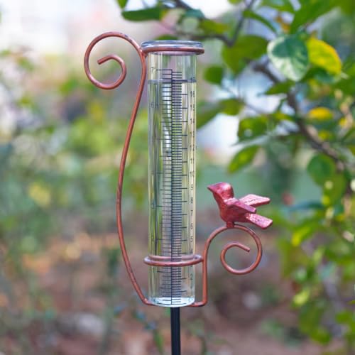 Cardinal Rain Gauge Outdoor with 7 Inch Glass Tube - color: Cardinal