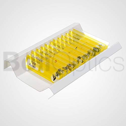 BoliOptics 12 Pcs Kids Plastic Prepared Microscope Slides Plants Sample Biology Botanical Specimen Set for Students Hobbyists Beginners Kids Homeschool, SL39901011