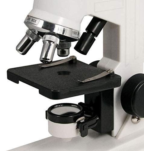 Celestron Microscope Kit for Beginners and STEM - size: Microscope Kit