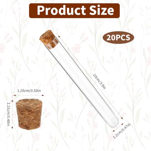 20Pcs Test Tubes for Plants, Clear Plastic Test Tubes with Cork Stoppers 13x110mm 15ml – Transparent Vials with Tight Seal for Plant Propagation, Bath Salt, Candy, Beads, Spice Storage, DIY Crafts