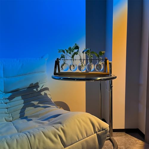 Kingbuy Plant Propagation Station with 5 Bulb Vases - size: 5 Bulb Vase