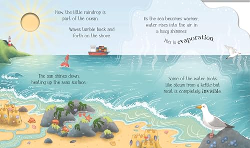 One Little Raindrop: A Science Book for Little Children That Explores The Water Cycle Through Interactive Holes on Pages (Life Cycles)