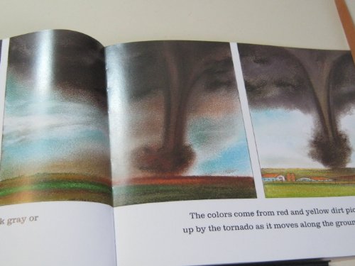 Tornado Alert: A Clear Science Picture Book About Tornadoes and Safety for Kids (Ages 4-8) (Let's-Read-and-Find-Out Science 2)