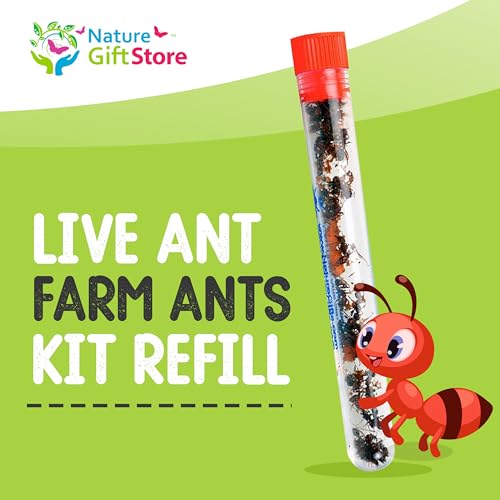 25 Live Ants for Ant Farms (1 Tube) with Educational Book Bundle - style: 25 Live Ants+Book