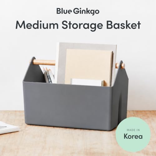 BLUE GINKGO Storage Basket, Medium 4.5L, Grey, Made in Korea - color: GREY, size: Medium