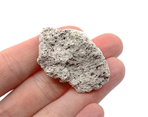 EISCO 12PK Raw Pumice, Igneous Rock Specimens - Approx. 1" - Geologist Selected & Hand Processed - Great for Science Classrooms - Class Pack