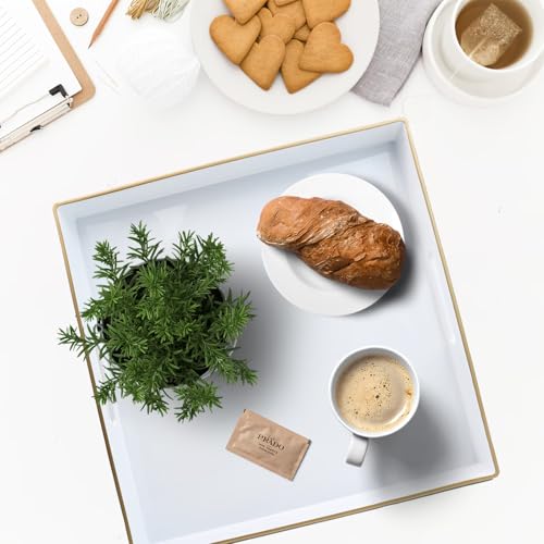 Spsyrine Decorative Tray, 13" Plastic Square Coffee Table Tray with Handles for Living Room, Ottoman, Bathroom Decor - color: Sl005r