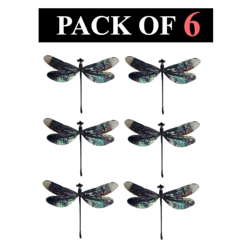 6 Real Black Dragonfly Specimens Mounted Insect Taxidermy Collection BO85X6 - color: 6 Real Beetle #85