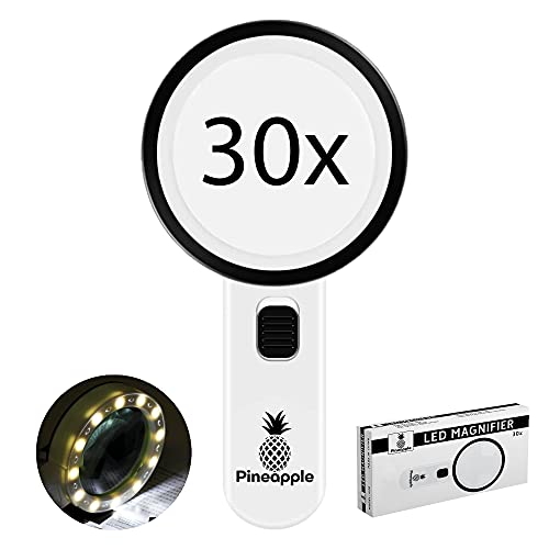 Magnifying Glass with Light, 30X Handheld Large Magnifying Glass for Reading, Lighted Magnifier for Seniors, Macular Degeneration, Coins, Jewelry, Elderly