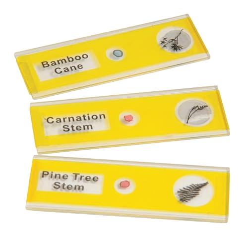 Prepared Microscope Slides for Kids – 12 Plastic Plant Specimens with Labels & Images – Safe, Durable Biology Science Kit for Students Ages 8+ - size: Plants - 12 pc