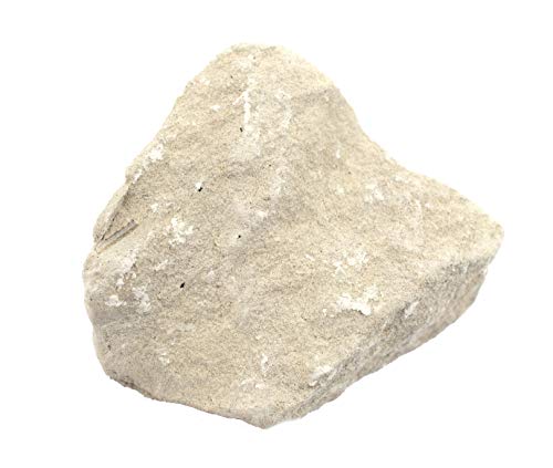 EISCO 6PK Raw Limestone Chalk, Sedimentary Rock Specimens - Approx. 1" - Geologist Selected & Hand Processed - Great for Science Classrooms - Class Pack Labs