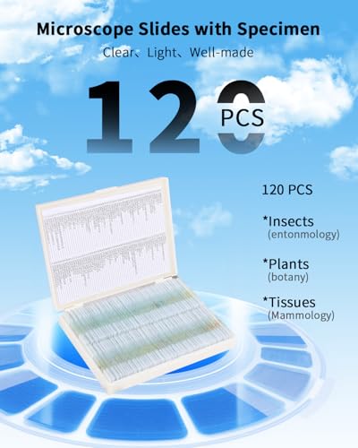 120-Pcs Microscope Slides with Specimens,Plant, Animal, Algae,etc,Educational Microscope Slides and Covers for Young Scientists,Perfect for Biology Class and Experiments - style: 120pcs