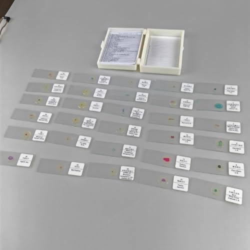 30 Pcs Microscope Slides Prepared Biology Specimen Lab Sample with Insects Plants Science Learning Home School