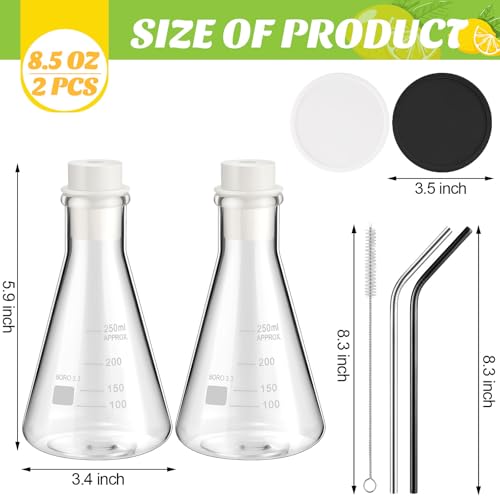 Copkim 2 Pcs Chemistry Drinking Glasses, 8.5 oz Lab Flask, Glass Erlenmeyer