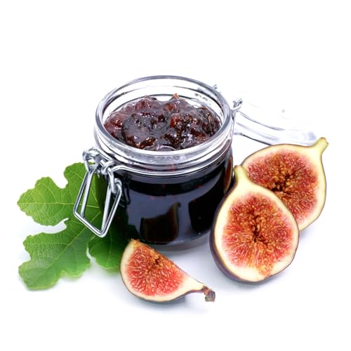 Violette de Bordeaux Fig Trees Live Plants – Set of 4 Starter Fig Plants – Compact, High-Yielding Variety with Rich, Sweet Fruit – Ideal for Containers and Small Gardens – Cold Hardy and Easy to Grow - style: Violette De Bordeaux