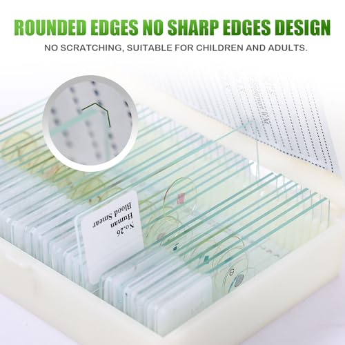 30 Microscope Slides with specimens, Plants, Insects, Animal Cell Samples for use in Biological Science Labs for Children, Students and homeschools - size: 30pcs