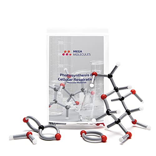 Photosynthesis and Cellular Respiration Molecular Model Set